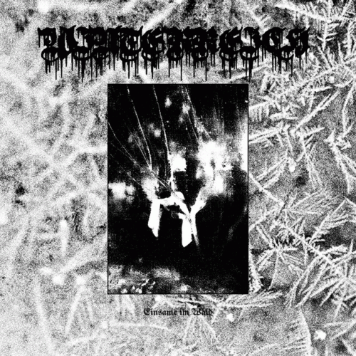 Winterr : Einsame im Wald (Einsamkeit)